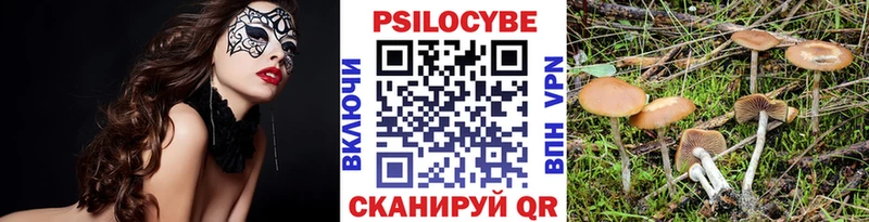 Псилоцибиновые грибы Cubensis  как найти закладки  Железногорск-Илимский 